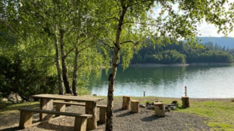 lokalna